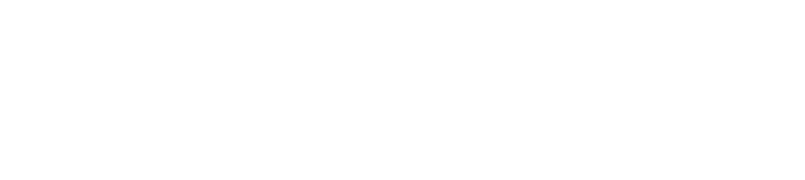 The Institute for Performance and Learning