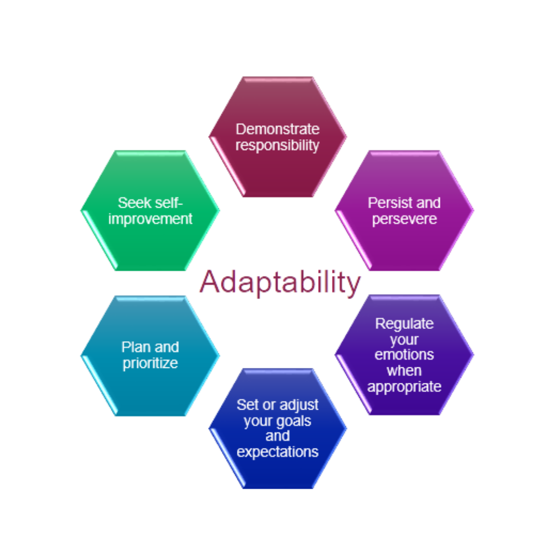The components of Adaptability, from the Government of Canada Skills for Success framework.